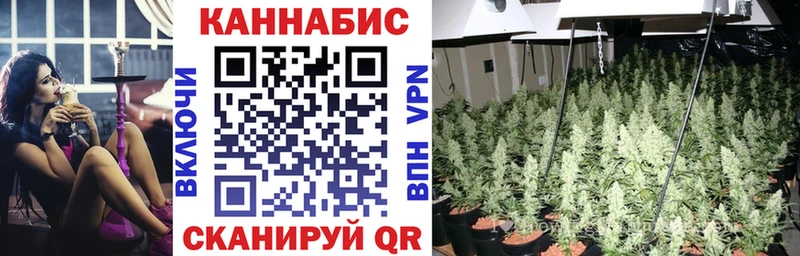 Где купить наркоту Воркута Марихуана A PVP Галлюциногенные грибы Меф мяу мяу