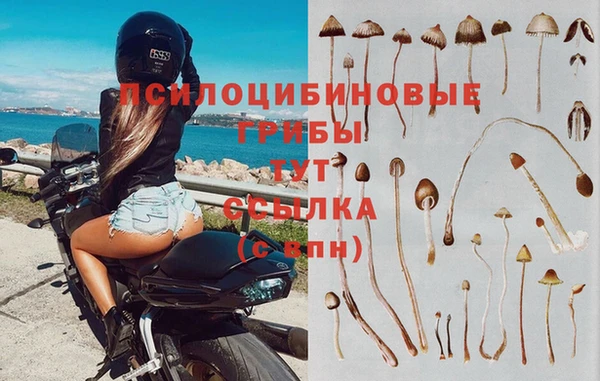 мет Верхний Тагил