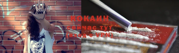 прущая мука Бородино