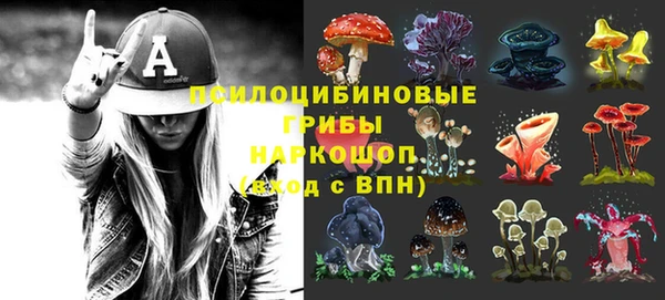 mdpv Верея