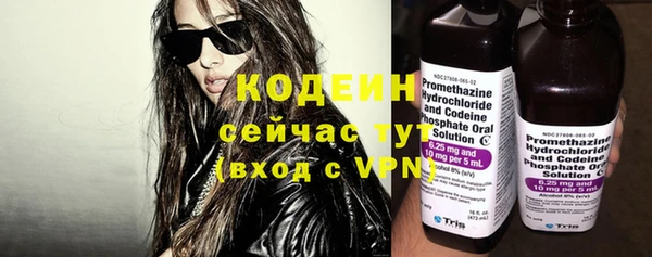 шишки Белоозёрский