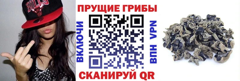 mega вход  Воркута  Псилоцибиновые грибы Cubensis 